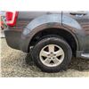 Image 27 : PARKSVILLE - 2008 FORD ESCAPE GREY 131508 MILES - DB90936