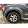 Image 31 : PARKSVILLE - 2008 FORD ESCAPE GREY 131508 MILES - DB90936