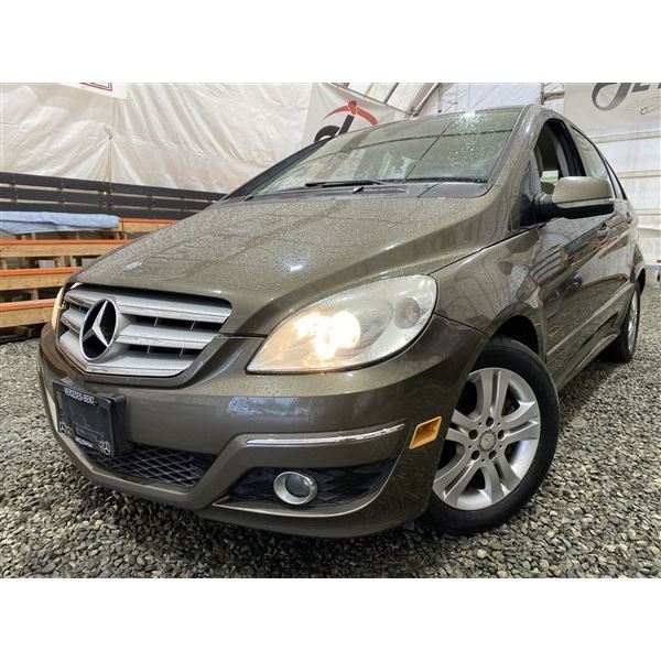 PARKSVILLE - 2009 MERCEDES-BENZ B200 BROWN 170430 KMS - B397171