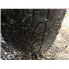 Image 23 : PARKSVILLE - 1997 TOYOTA RAV4 BLACK 250879 KMS, "NO RESERVE" - D150159