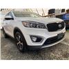 Image 8 : PARKSVILLE - 2016 KIA SORENTO WHITE 225484 KMS - D160712
