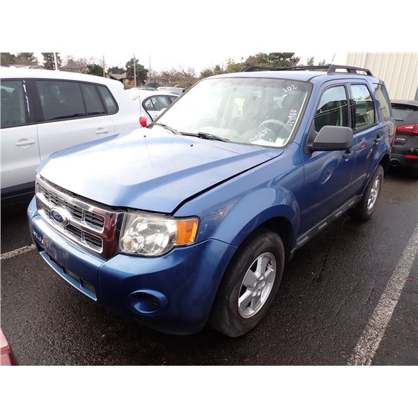 2010 Ford Escape