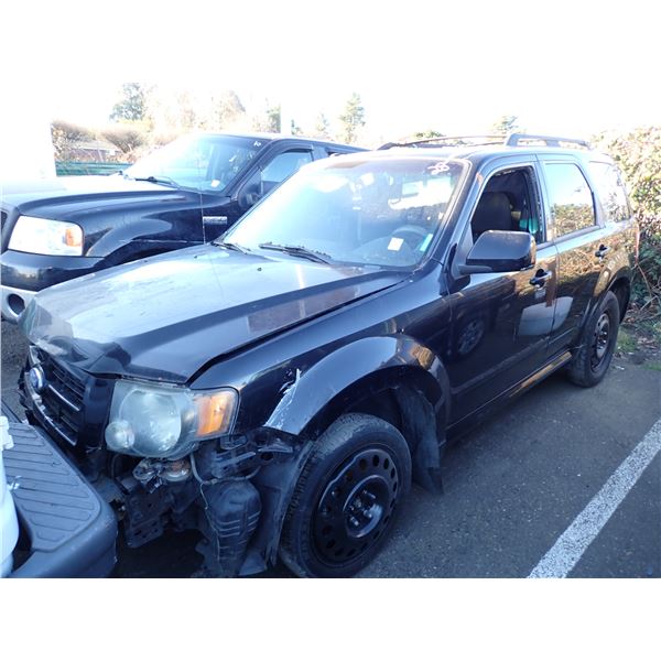 2010 Ford Escape
