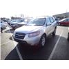 Image 1 : 2007 Hyundai Santa Fe