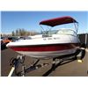 Image 1 : 2011 Pleasure Boat