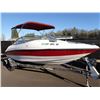 Image 2 : 2011 Pleasure Boat