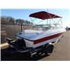 Image 3 : 2011 Pleasure Boat