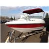 Image 1 : 2011 Pleasure Boat