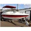 Image 2 : 2011 Pleasure Boat