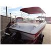 Image 3 : 2011 Pleasure Boat