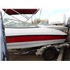 Image 4 : 2011 Pleasure Boat