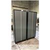 Image 1 : (2) COLEMAN 2-DOOR WELDED STEEL SHOP CABINETS 30" X 18" X 76" WITH KEY