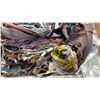 Image 6 : PALLET OF ASSORTED SET DEC CLOTHING & BELTS - *MUST TAKE ALL ON PALLET*