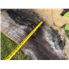 Image 12 : Carved Wooden Outdoor Bench 52" x 19" x 34"H & Table 38" x 57" x 20"H