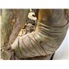 Image 11 : Solid Wood Guanyin Statue, the Bodhisattva of Compassion & Mercy 38"W x 60"H