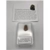 Image 1 : ENSTATITE METEORITE CHRONDITES NORTHWEST AFRICA