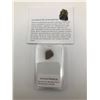 Image 1 : ENSTATITE METEORITE CHRONDITES NORTHWEST AFRICA