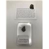Image 1 : ENSTATITE METEORITE CHRONDITES NORTHWEST AFRICA