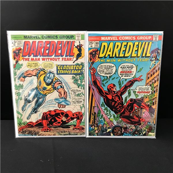 LOT OF 2 DAREDEVIL COMICS - MARVEL COMICS