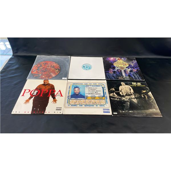 (6) ASSORTED VINYL RECORDS INCLUDING; NAUGHT BY NATURE, BIG POPPA, FAT JOE & MORE
