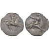 Image 1 : CALABRIA: Tarentum, AR nomos (didrachm) (7.84g), ca. 332-302 BC, NGC AU