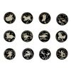 Image 1 : TRANSNISTRIA: Pridnestrovian Moldavian Republic, 12-coin proof set, 2005