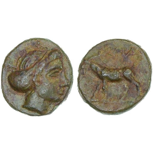 CYCLADES: Paros, AE10 (1.38g), 4th century BC, VF