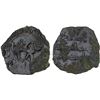 Image 1 : UMAYYAD: AE fals (1.24g), al-Mubaraka (= Balkh), AH(11)7, VF