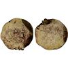 Image 1 : GREAT SELJUQ: Sanjar, 1118-1157, pale AV dinar, MM, DM, F-VF