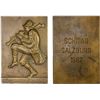 Image 1 : AUSTRIA: AE plaque (98.36g)