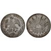 Image 1 : MEXICO: Republic, AR 8 reales (26.98g), 1879-Cn, Choice XF