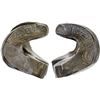 Image 1 : THAILAND: KINGDOMS: Lannathai, AR tamlung (64.36g), 14th-16th century, VF