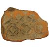Image 1 : WESTERN HAN: Anonymous, 113-49 BC, clay coin mold, Fine