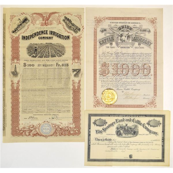Western Irrigation and Cattle Enterprises, 1886 to 1912, Stock and Bond Trio.