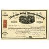 Image 1 : CO. Chenango Silver Mining Co. of Colorado, 1869, I/U Stock Certificate.