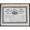 Image 1 : CA. Lions' Gold Mining Co., 1896, I/U Stock Certificate.