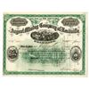 Image 1 : CO. Argent Mining Company of Leadville, 1881 I/U Stock Certificate