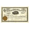 Image 1 : CO. Custer County Consolidated Mining Co., 1879, I/U Stock Certificate.