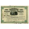 Image 1 : CO. Decatur Silver Mining Co., 1883, I/U Stock Certificate.