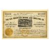 Image 1 : CO. Elk Mountain Mining and Smelting Co., 1883 I/U Stock Certificate