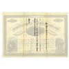 Image 2 : CO. Lower Belt Gold & Silver Mining, Reduction & Tunneling Company of Colorado, 1882 I/U Stock Certi