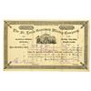 Image 1 : CO. St. Louis Gunnison Mining Company, 1880 I/U Stock Certificate.