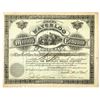 Image 1 : CO. Waterloo Mining Company of Colorado, 1884, I/U Stock Certificate.