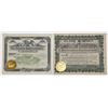 Image 1 : IL. Illinois Shipbuilding Companies, 1894 and 1924, I/U Stock Certificate Pair.