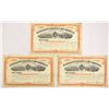 Image 1 : IL. Pullman's Palace Car Co., 1881, I/C Stock Certificate Trio Signed by Horace Porter as Vice Presi