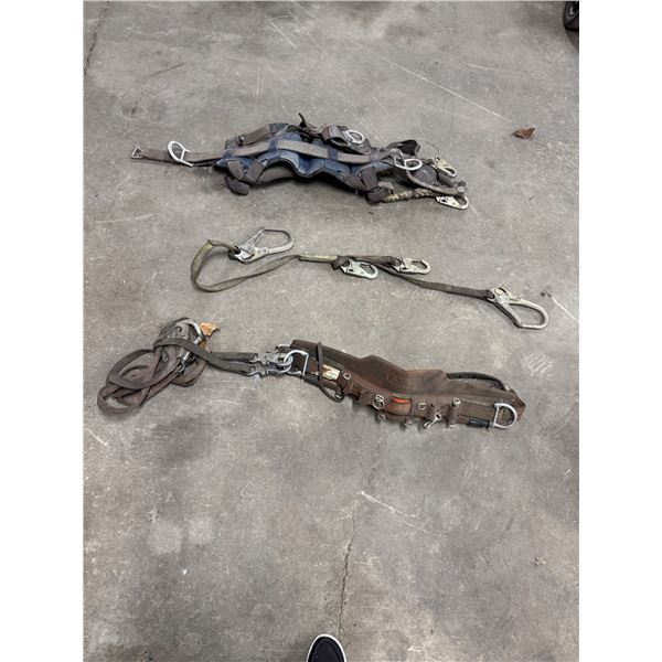 Harnesses and lanyards