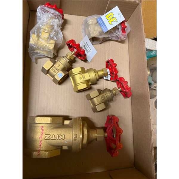 Brass Gates valves