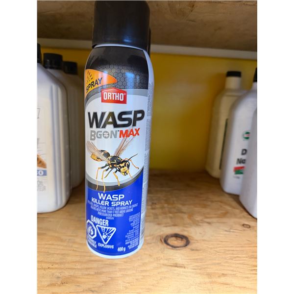 Wasp killer spray  (3)