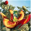Image 1 : Perrier & Juice Lemon & Guava, Sparkling Beverage, 6 Cans X 330 mL (2 Pack)