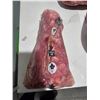 Image 1 : Approximately Ten Pound Pork Roast